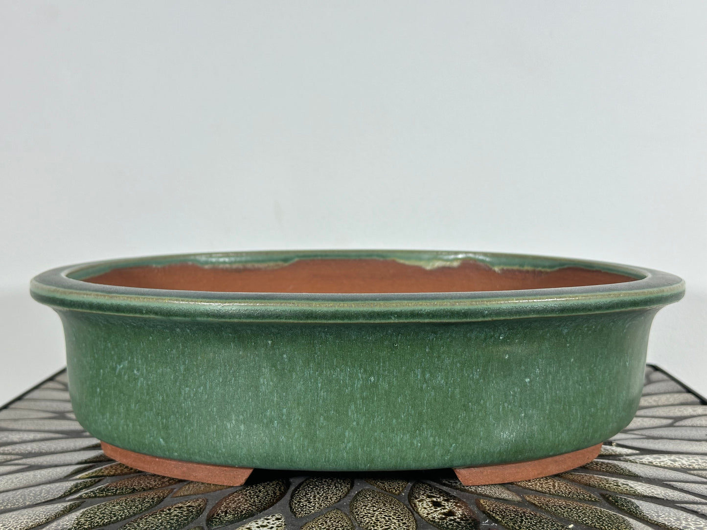 NEW Japanese Tokoname Glazed Bonsai Pot YOZAN - 12.5” By 10”