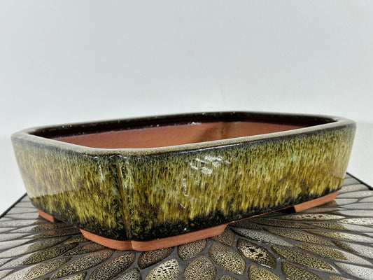 NEW Japanese Tokoname Glazed Bonsai Pot YOUZAN - 12.75” By 10”