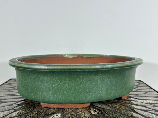 NEW Japanese Tokoname Glazed Bonsai Pot YOZAN - 12.5” By 10”