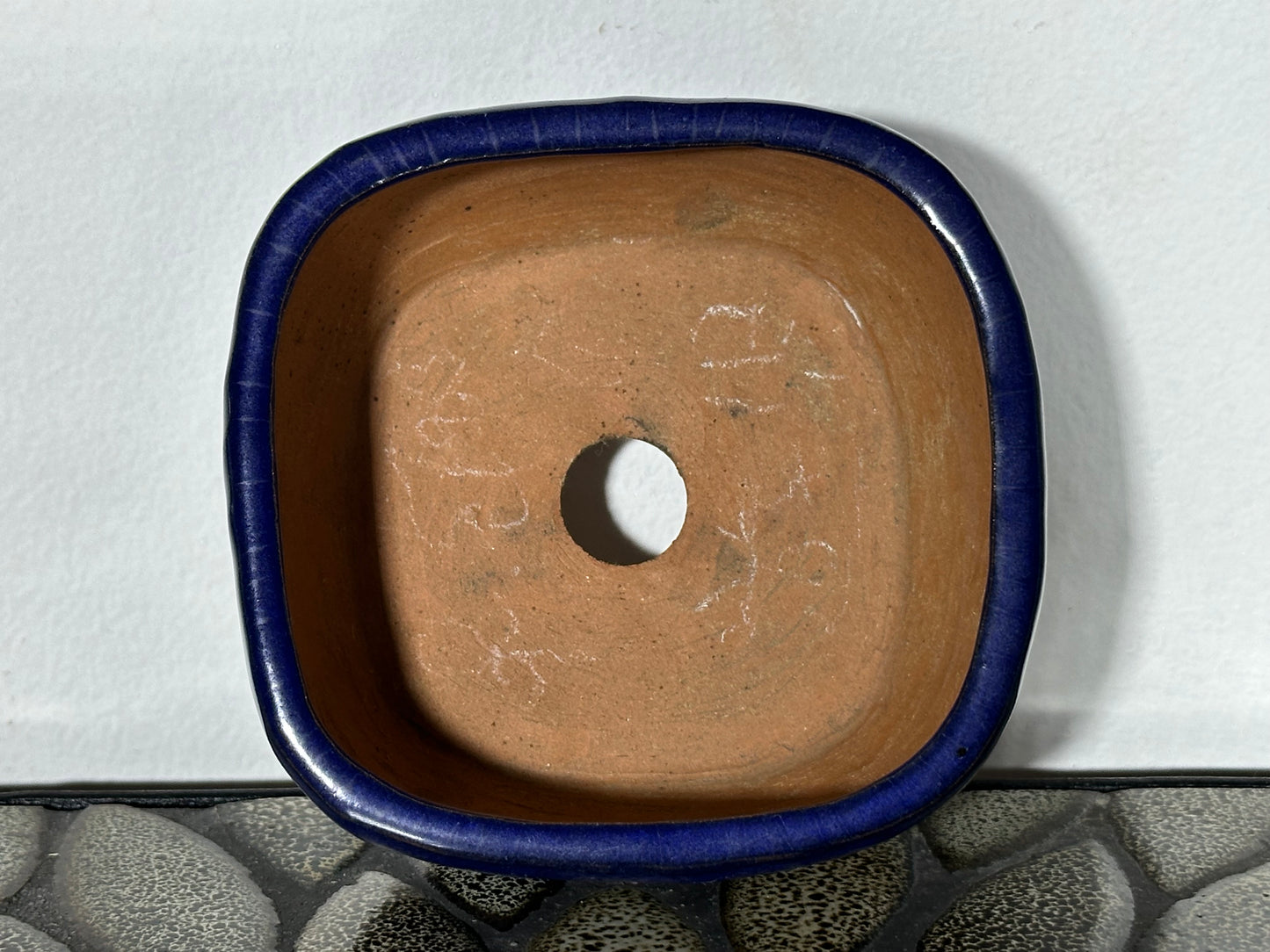 Preowned Japanese Bonsai YUUJI - 3.75” By 3.5”