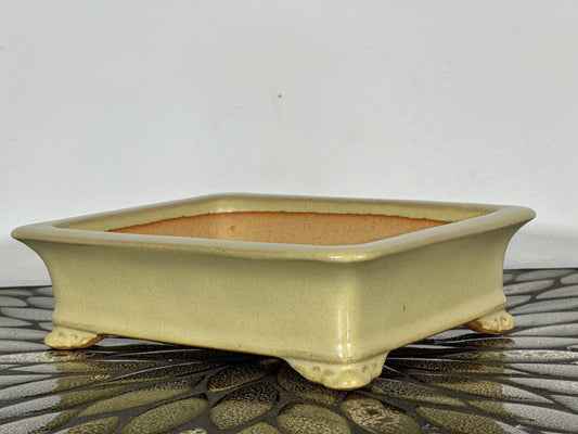 NEW Japanese Tokoname Glazed Rectangular Bonsai Pot REIHO - 7 5/8” By 6 3/8”