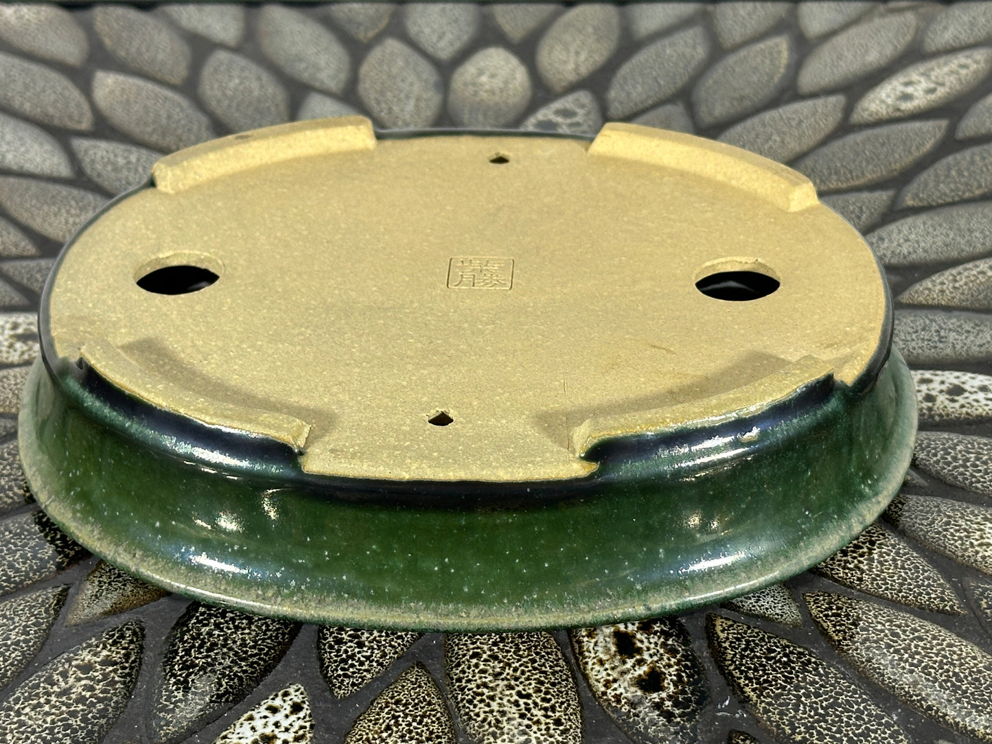 NEW Japanese Oval Bonsai Pot Shibakatsu - 7.75” By 6.25”