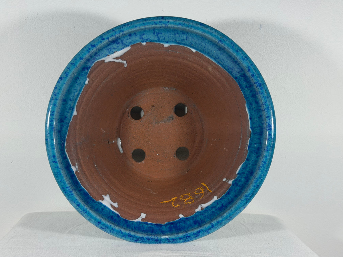 New Japanese Tokoname Glazed Round Bonsai Pot Syuhou Yoshimura - 12.5” By 6”