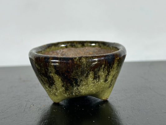 NEW Japanese Tokoname Bonsai Pot Machinao - 2” By 1”