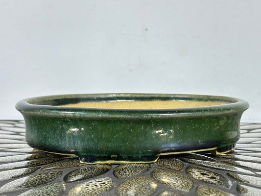 NEW Japanese Oval Bonsai Pot Shibakatsu - 7.75” By 6.25”