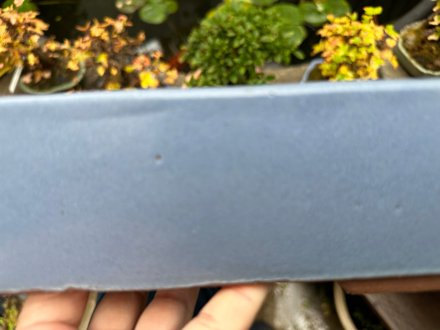 Preowned Japanese Tokoname Glazed Rectangular Bonsai Pot Youzan - 17.75” By 13”