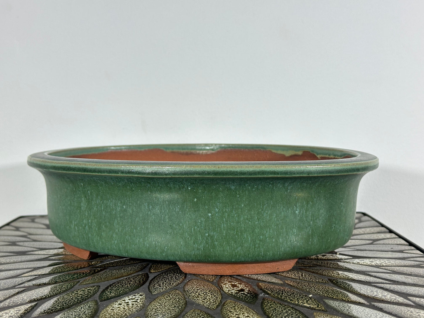 NEW Japanese Tokoname Glazed Bonsai Pot YOZAN - 12.5” By 10”