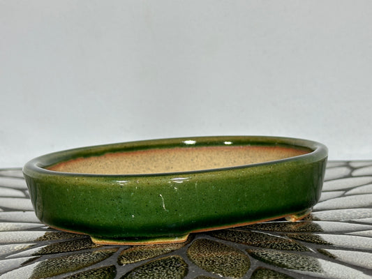NEW Japanese Tokoname Glazed Oval Bonsai Pot REIHO - 6” By 4 5/8”