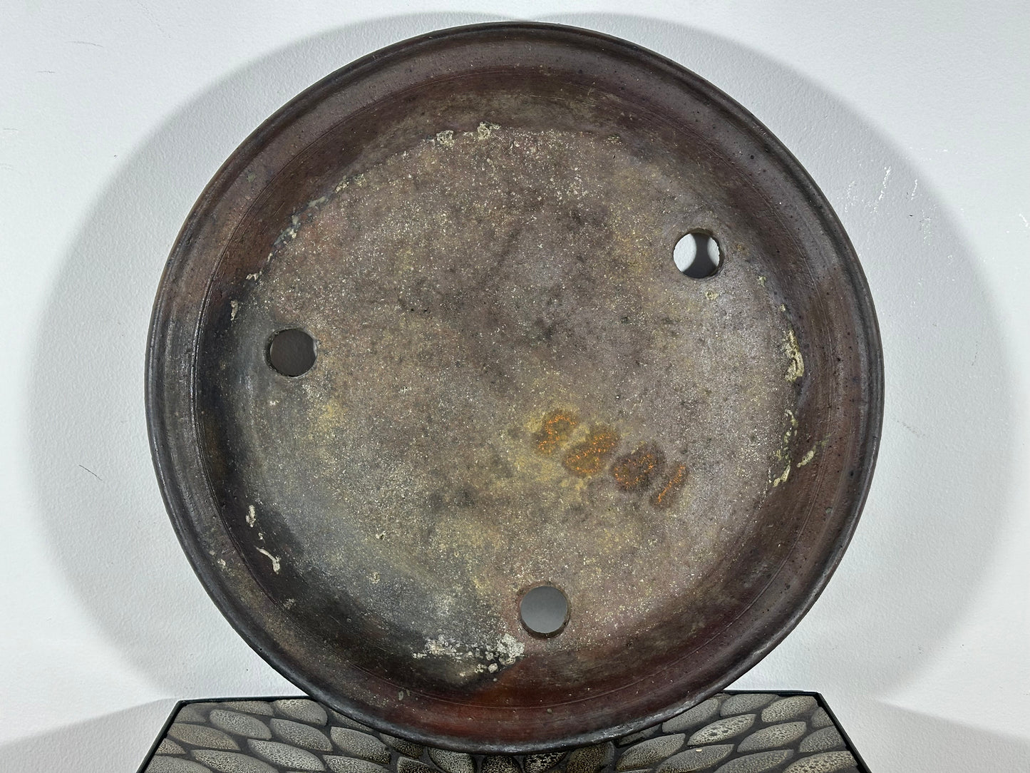 Preowned Japanese Tokoname Suiban Bonsai Pot Yuuhou - 16.75” By 2.5”