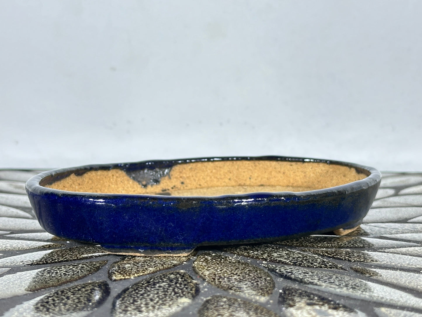 New Japanese Tokoname Glazed Oval Shallow Bonsai Pot Harutori - 6.25” By 4 3/8”