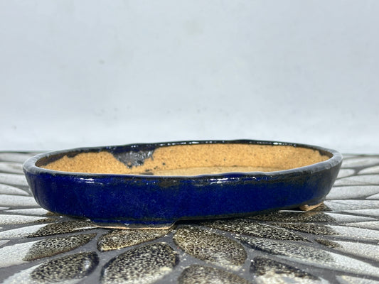 New Japanese Tokoname Glazed Oval Shallow Bonsai Pot Harutori - 6.25” By 4 3/8”