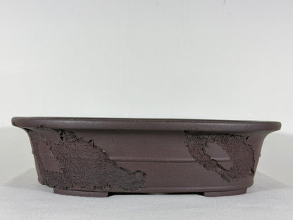 Preowned Japanese Tokoname Unglazed Bonsai Pot Jyuuoudou - 15” By 12”