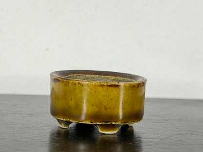 Preowned Vintage Japanese Tokoname Glazed Oval Bonsai Pot Mutou - 1.5” By 1.25”