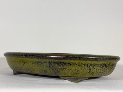Preowned Japanese Tokoname Oval Bonsai Pot Reiho - 15.25” By 11.5”