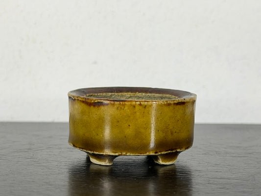 Preowned Vintage Japanese Tokoname Glazed Oval Bonsai Pot Mutou - 1.5” By 1.25”