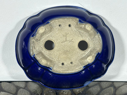 Preowned Japanese Tokoname Mokko Style Glazed Bonsai Pot Satomi - 7 1/8” By 6”