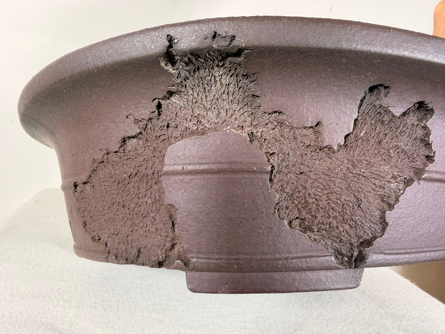 Preowned Japanese Tokoname Unglazed Bonsai Pot Jyuuoudou - 15” By 12”