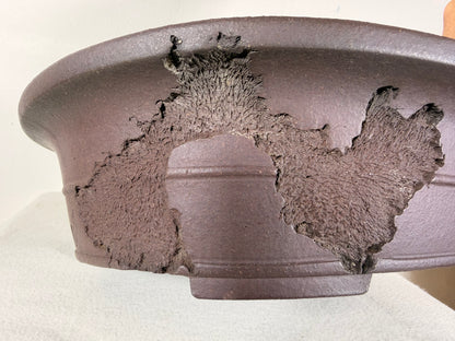 Preowned Japanese Tokoname Unglazed Bonsai Pot Jyuuoudou - 15” By 12”