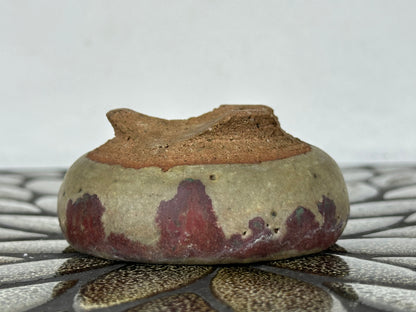 Preowned Japanese Tokoname Glazed Round Bonsai Pot with Stamps - 3” By 1 3/8”