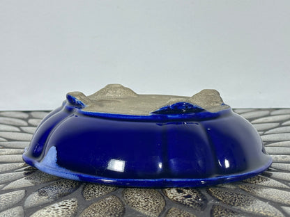 Preowned Japanese Tokoname Mokko Style Glazed Bonsai Pot Satomi - 7 1/8” By 6”
