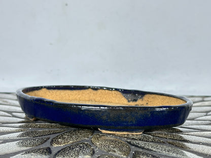 New Japanese Tokoname Glazed Oval Shallow Bonsai Pot Harutori - 6.25” By 4 3/8”