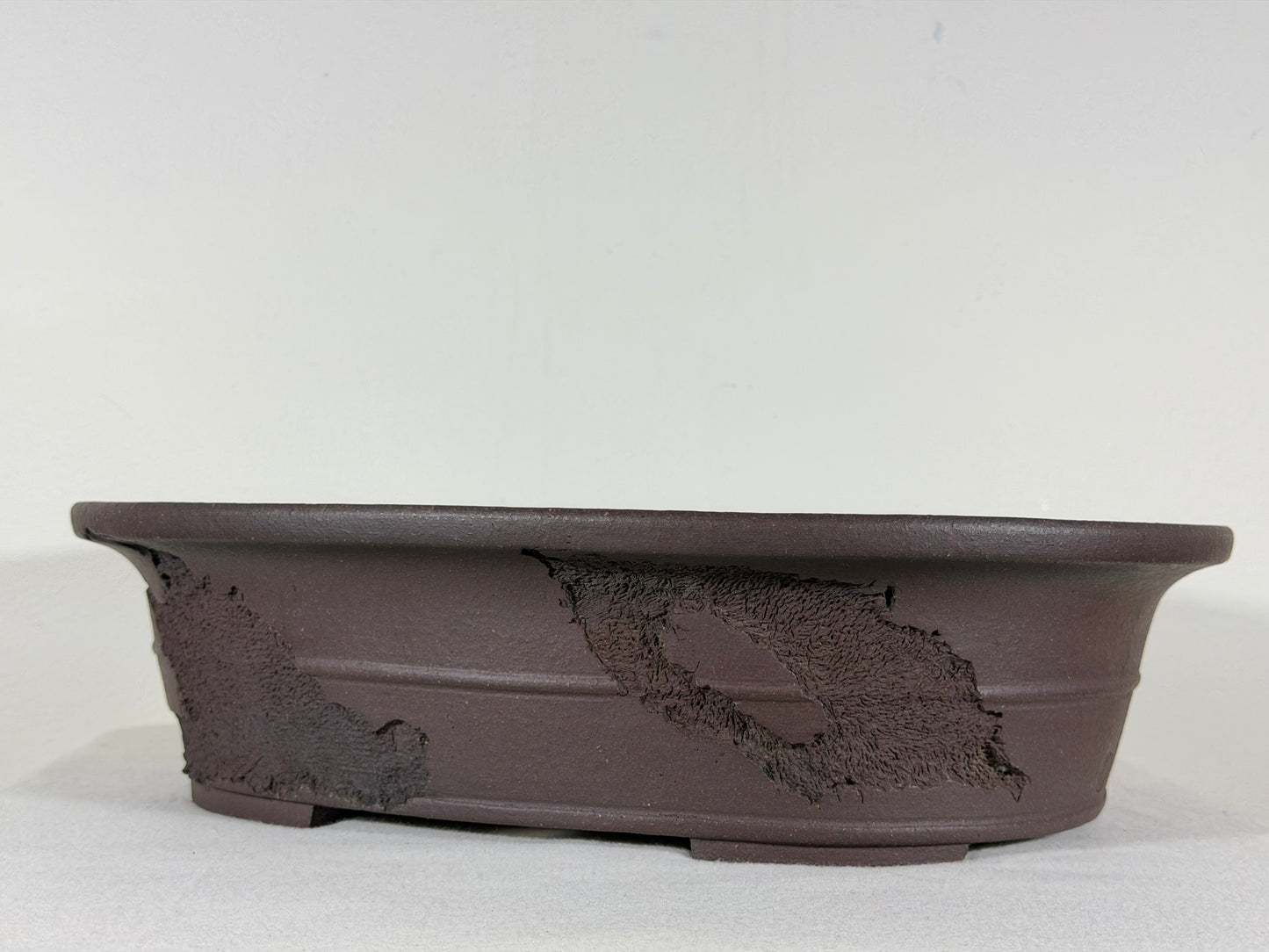 Preowned Japanese Tokoname Unglazed Bonsai Pot Jyuuoudou - 15” By 12”