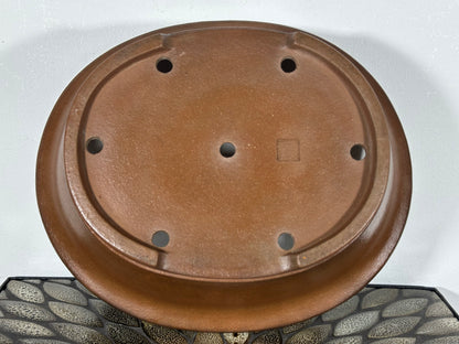 Preowned Japanese Tokoname Unglazed Oval Bonsai Pot Seizan - 12.5” By 10.5”