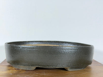 Victor Shelton Glazed Oval Bonsai Pot (American-Made) 8” By 6”