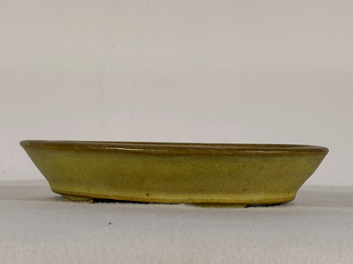 Preowned Japanese Tokoname Glazed Oval Bonsai Pot Hatutori - 6.5” By 5”