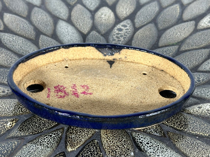 New Japanese Tokoname Glazed Oval Shallow Bonsai Pot Harutori - 6.25” By 4 3/8”