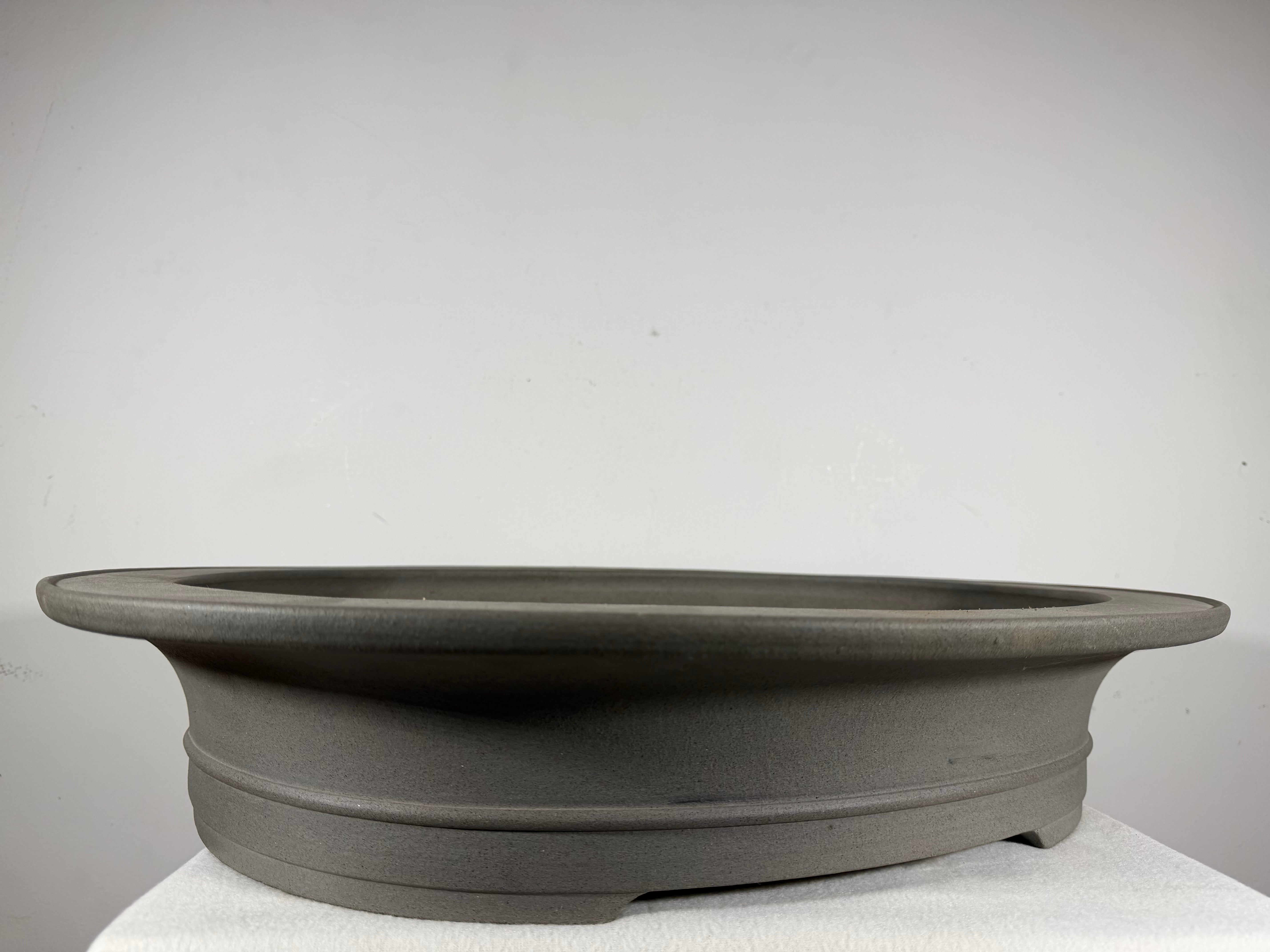 大鉢 X Large Tokoname Bonsai Pots (22+ in) | Bonsai4seasons – Bonsai 4