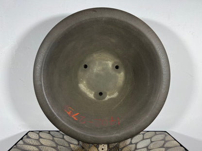Preowned Japanese Tokoname Round Bonsai Pot Yamaaki - 13” By 4.5”