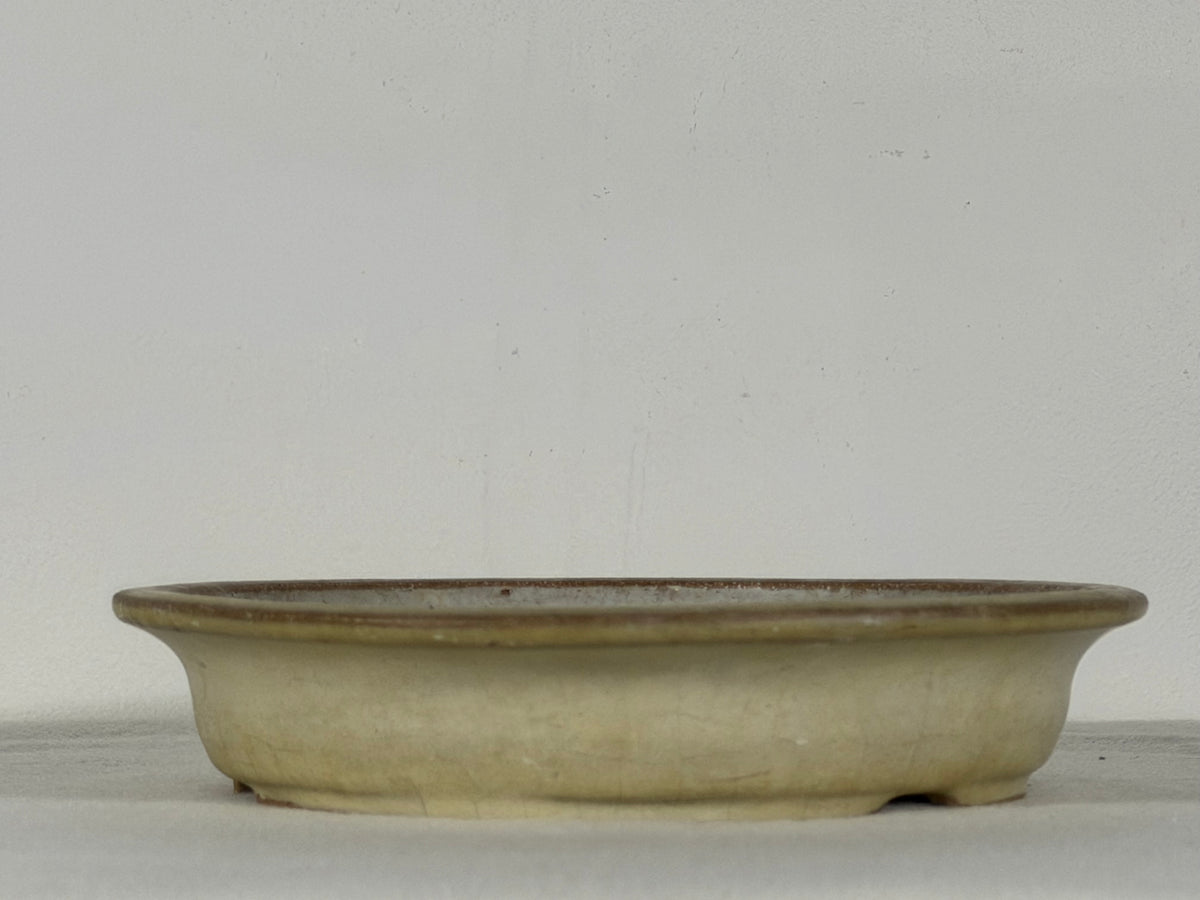 Preowned Japanese Tokoname Glazed Shallow Round Bonsai Pot Mazan - 8.25” By 1.75”