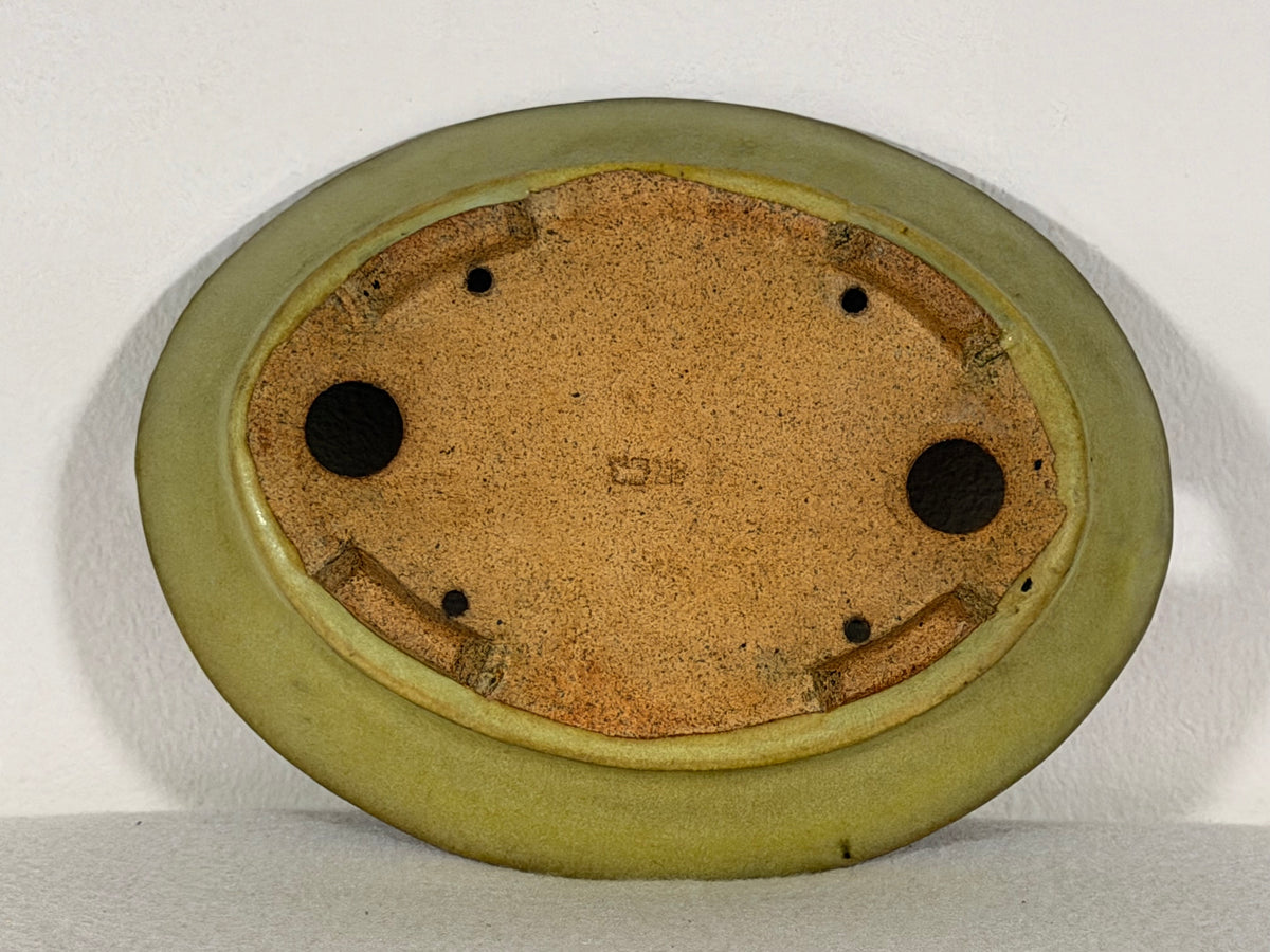 Preowned Japanese Tokoname Glazed Oval Bonsai Pot Hatutori - 6.5” By 5”