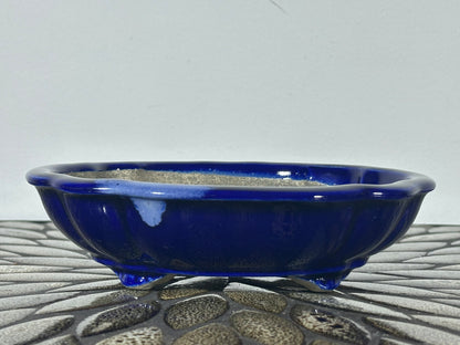 Preowned Japanese Tokoname Mokko Style Glazed Bonsai Pot Satomi - 7 1/8” By 6”