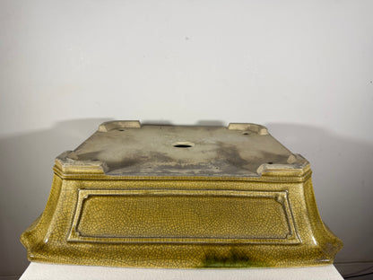 New Japanese Tokoname Glazed Rectangular Bonsai Pot Mazan Terahata - 19” By 15.5”