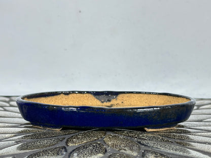 New Japanese Tokoname Glazed Oval Shallow Bonsai Pot Harutori - 6.25” By 4 3/8”