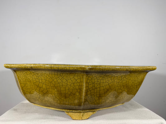 Preowned Japanese Tokoname Glazed Rinka Style Bonsai Pot Mazan Terahata - 20.75” By 20”